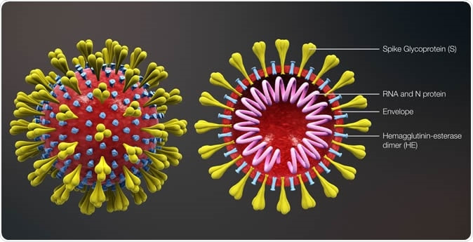 Coronavirus​ https://www.scientificanimations.com / CC BY-SA (https://creativecommons.org/licenses/by-sa/4.0)